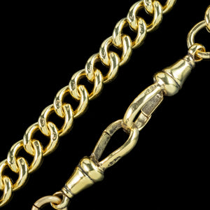 Antique Edwardian Albert Chain With Medallion Silver 18ct Gold Gilt