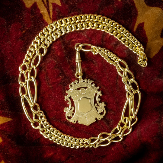 Antique Edwardian Albert Guard Chain Silver 18ct Gold Gilt With Medallion