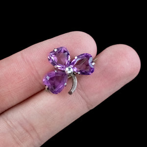 Antique Edwardian Purple Paste Clover Brooch Charles Horner Dated 1902