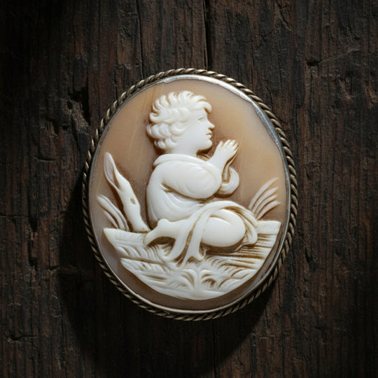 Antique Victorian Cameo Brooch Bullmouth Shell