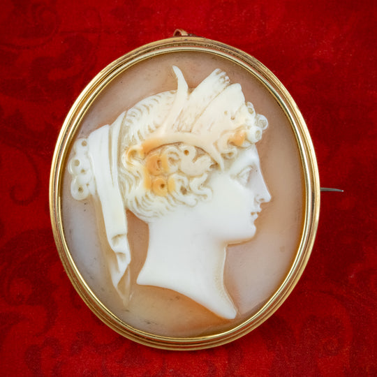 Antique Victorian Cameo Gold Brooch Circa 1860