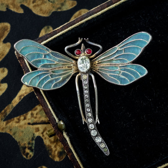 Antique Victorian Meyle And Mayer Plique A Jour Paste Dragonfly Brooch