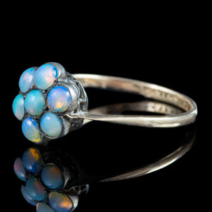 Antique-Victorian-Opal-Cluster-Ring-