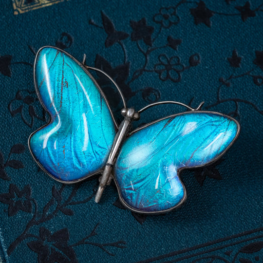Art Deco Morpho Butterfly Wing Brooch Sterling Silver