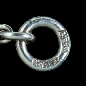 Antique Victorian Long Silver Chain Murrle Bennett
