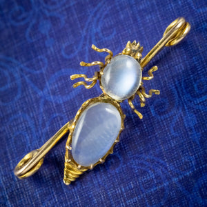 Antique Victorian Moonstone Beetle Brooches 18ct Gold Circa 1900