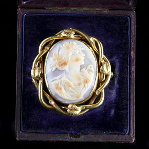 ANTIQUE BOXED GOLD CAMEO SWIVEL BROOCH CIRCA 1900